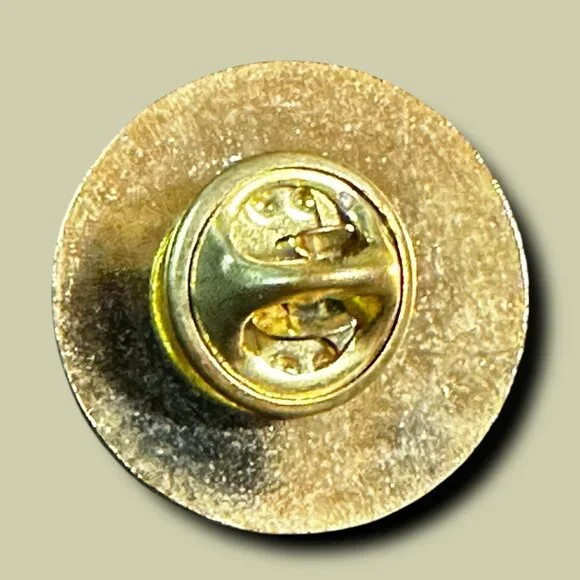 National Park Service Volunteer Enamel Pin Round 1" Green & Blue With Gold Accen - Picture 4 of 5